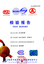 凉山电力变压器检测报告